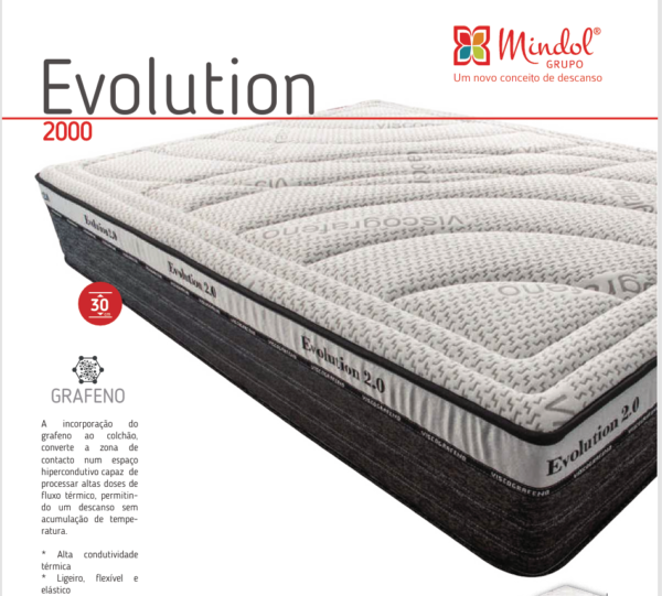 Evolution 2000